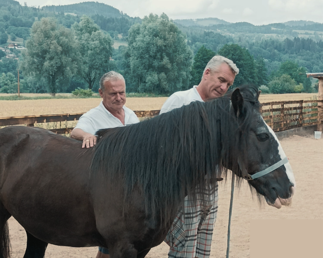 Zwei Herren mit Pferd beim Workshop