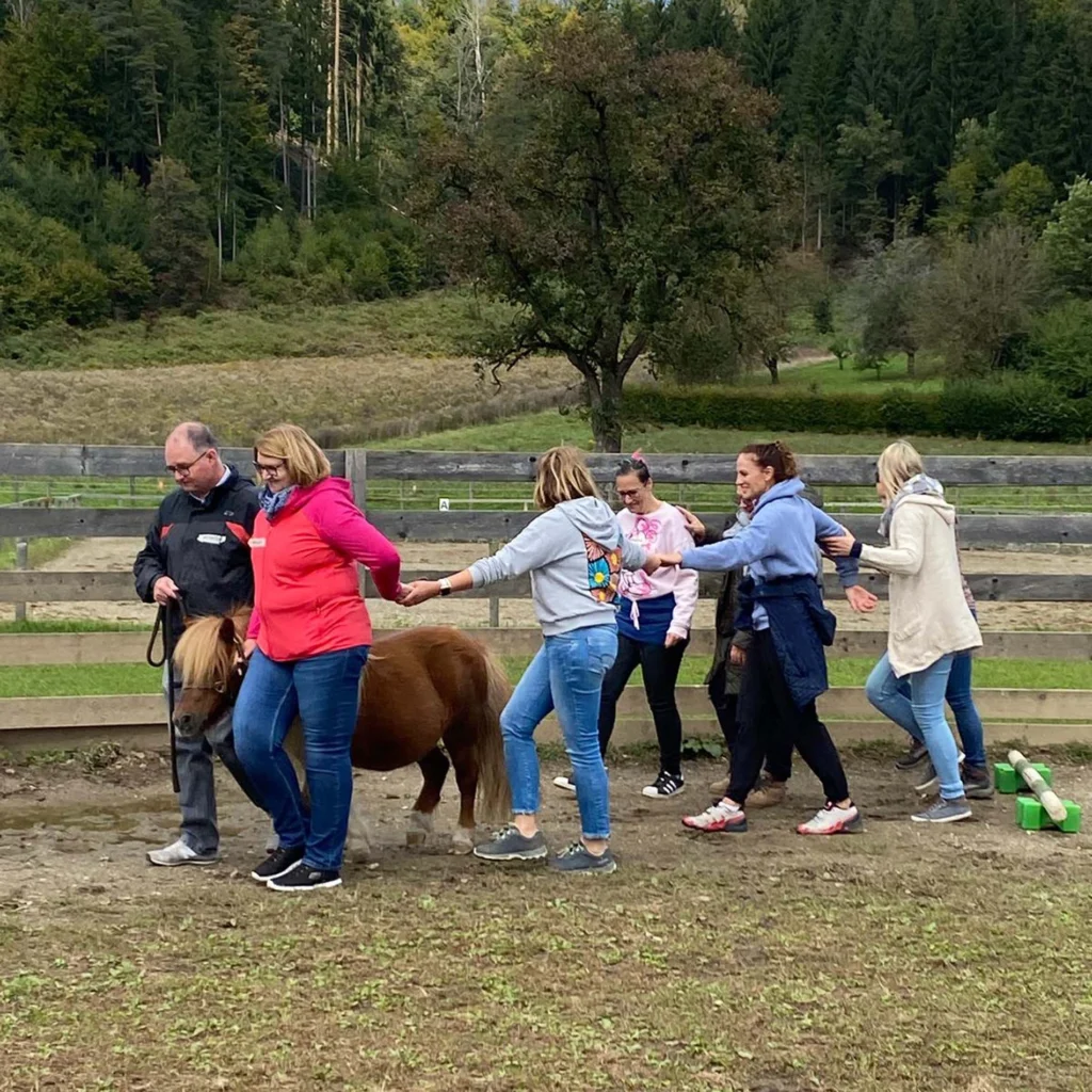Team beim pferdegestützten Training – Teamentwicklung durch praktische Übungen mit Pferden